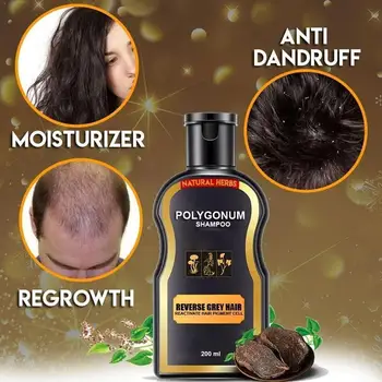 Đumbir Šampon Za Njegu Kose Prirodni Biljni Crni Šampon Za Rast Kose Polygonum Multiflorum Šampon Za Kosu Šampon Za Gubitak Kose P7F4